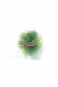 Number 37 - Image 3